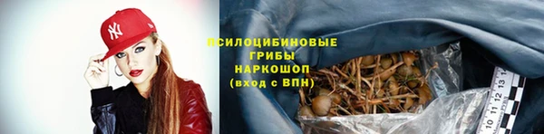 хмурый Алзамай