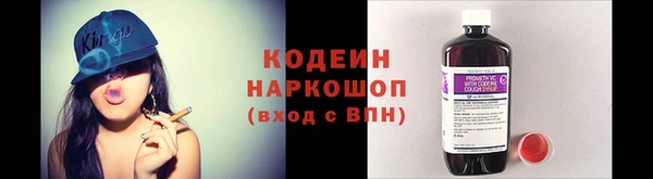 ПСИЛОЦИБИНОВЫЕ ГРИБЫ Алексин