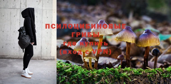 хмурый Алзамай