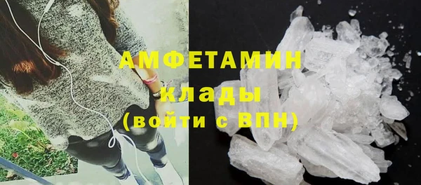 ПСИЛОЦИБИНОВЫЕ ГРИБЫ Алексин