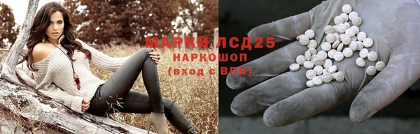 хмурый Алзамай