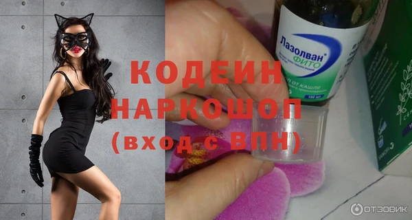 хмурый Алзамай