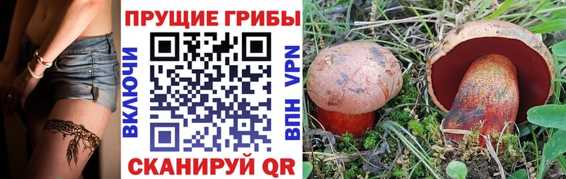 Псилоцибиновые грибы мицелий Завитинск